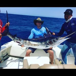 Meet your Posher, Shea